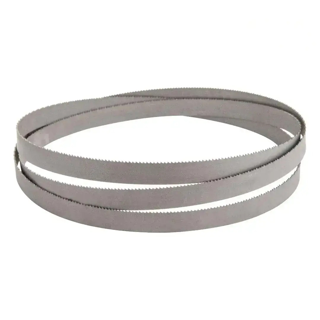 Panza fierastrau panglica metal